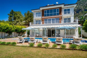 Large Villa with a Private Pool